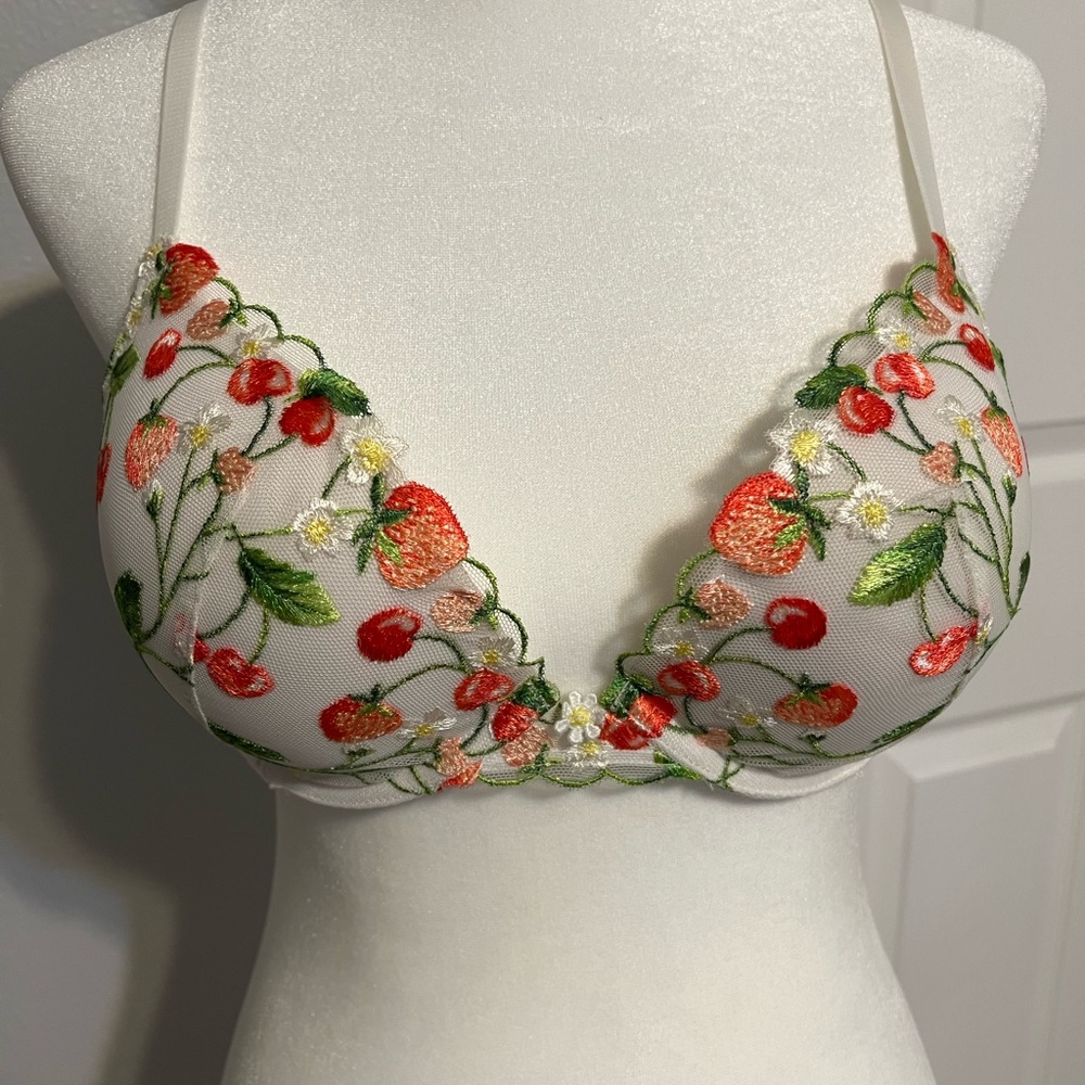 NWT Victoria’s Secret Dream Angels Strawberry Embroidered Push Up Bra 🍓